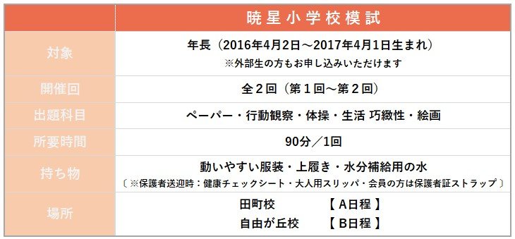 暁星小学校 学校別プリント 夏期講習 はやぶさ ペーパー 暁星小学校 学校別プリント 夏期講習 はやぶさ ペーパー