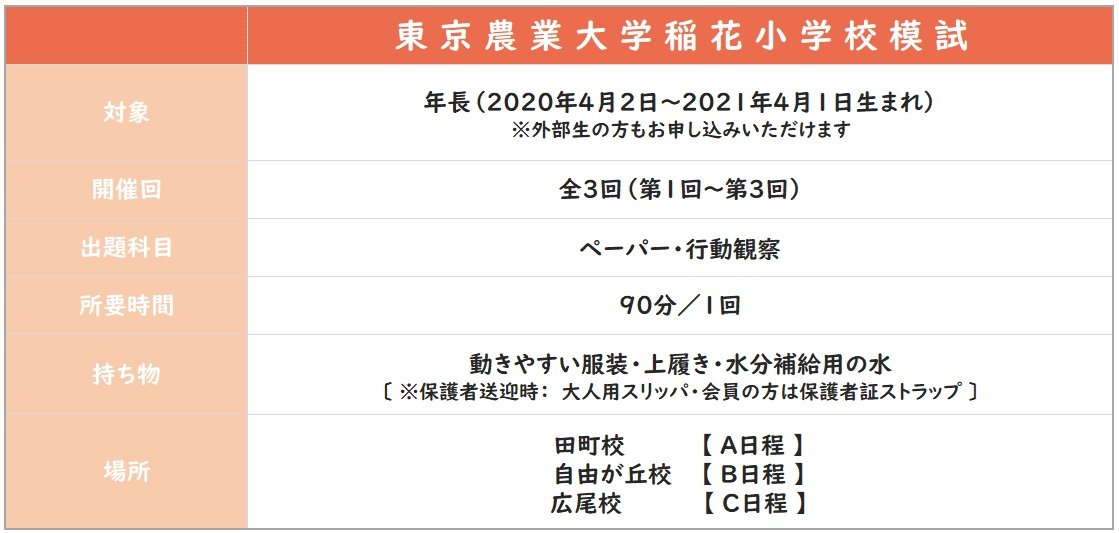 東京農業大学稲花小学校 理英会 夏期講習 プリント　12冊　内容表設問解答付き 2026年度版 首都圏版(20) 東京農業大学稲花小学校 過去問題集 - 日本